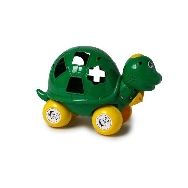 Toyzone Turtle Pull Along