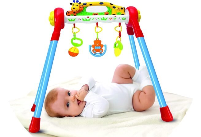 Toyzone Giraffe Play Gym  Musical Activity Gym